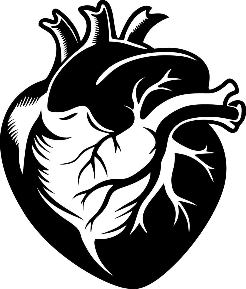 Anatomical Heart Illustration Black silhouette Ink Style Graphic Design vector