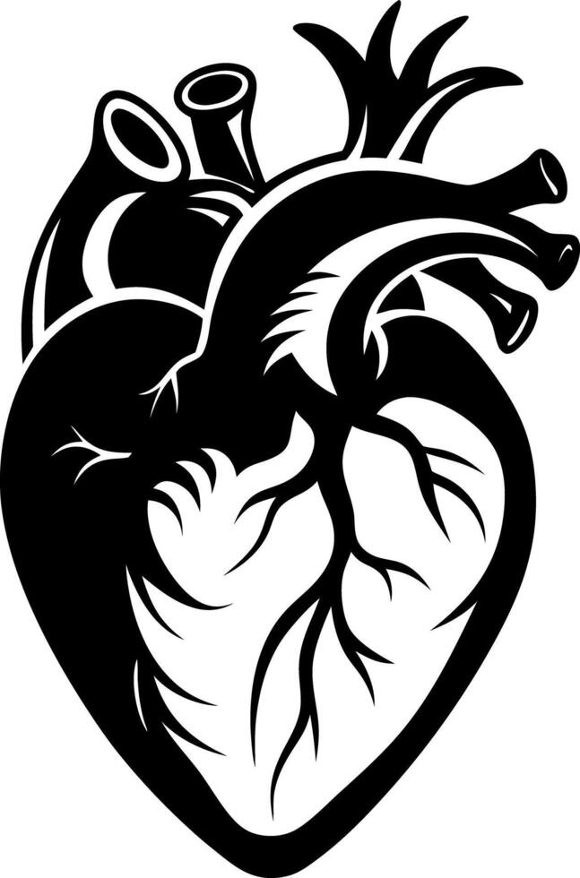 Anatomical Heart Illustration Black silhouette Ink Style Graphic Design Element vector