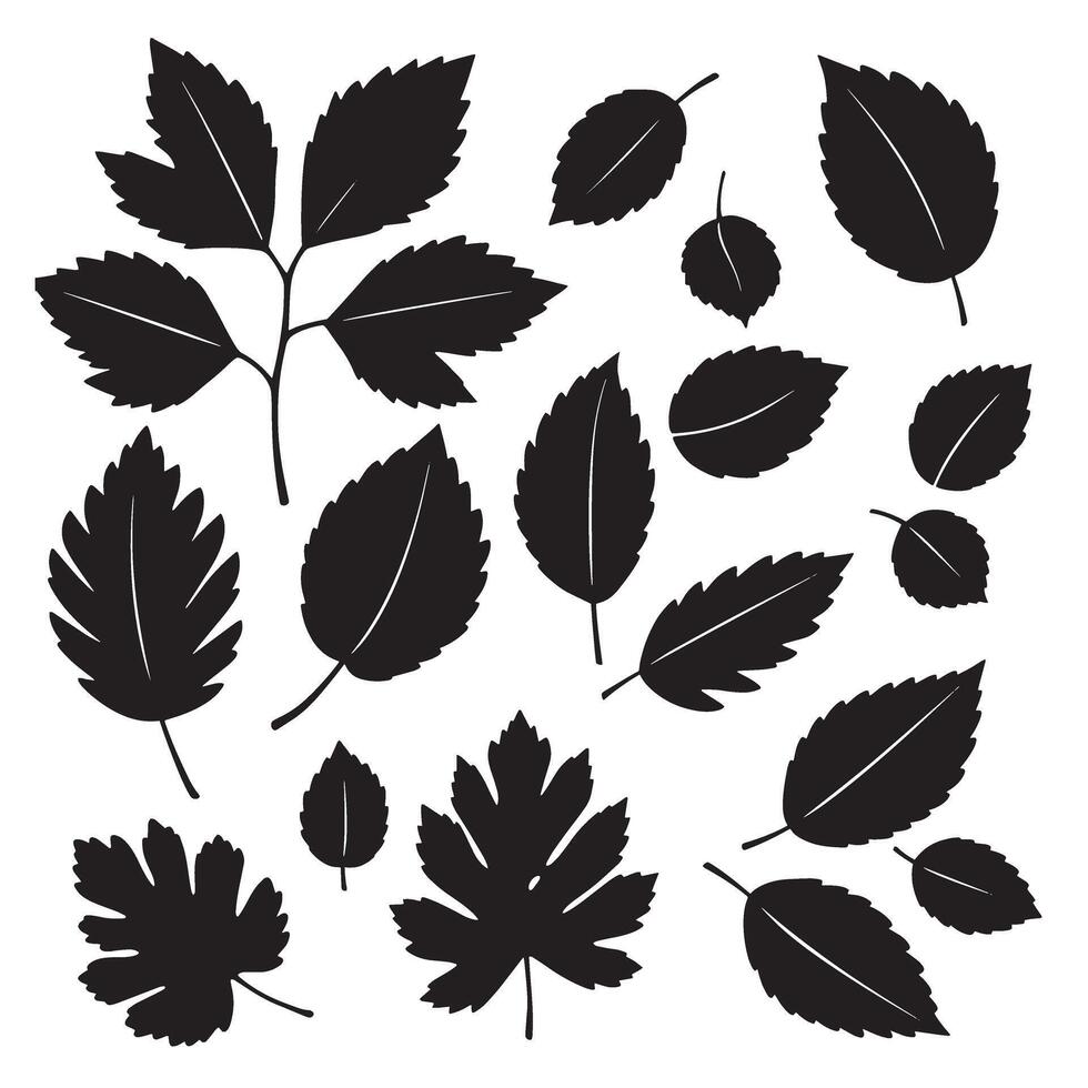 Leaves flower art silhouette for print artwork used in packaging wall art and posters vector
