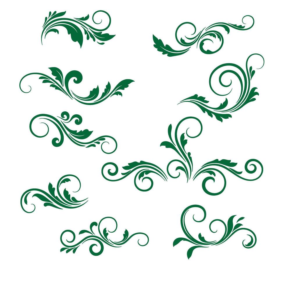 Swirl leaves ornament bundle ideal for invitations packaging and ornamental artwork vector