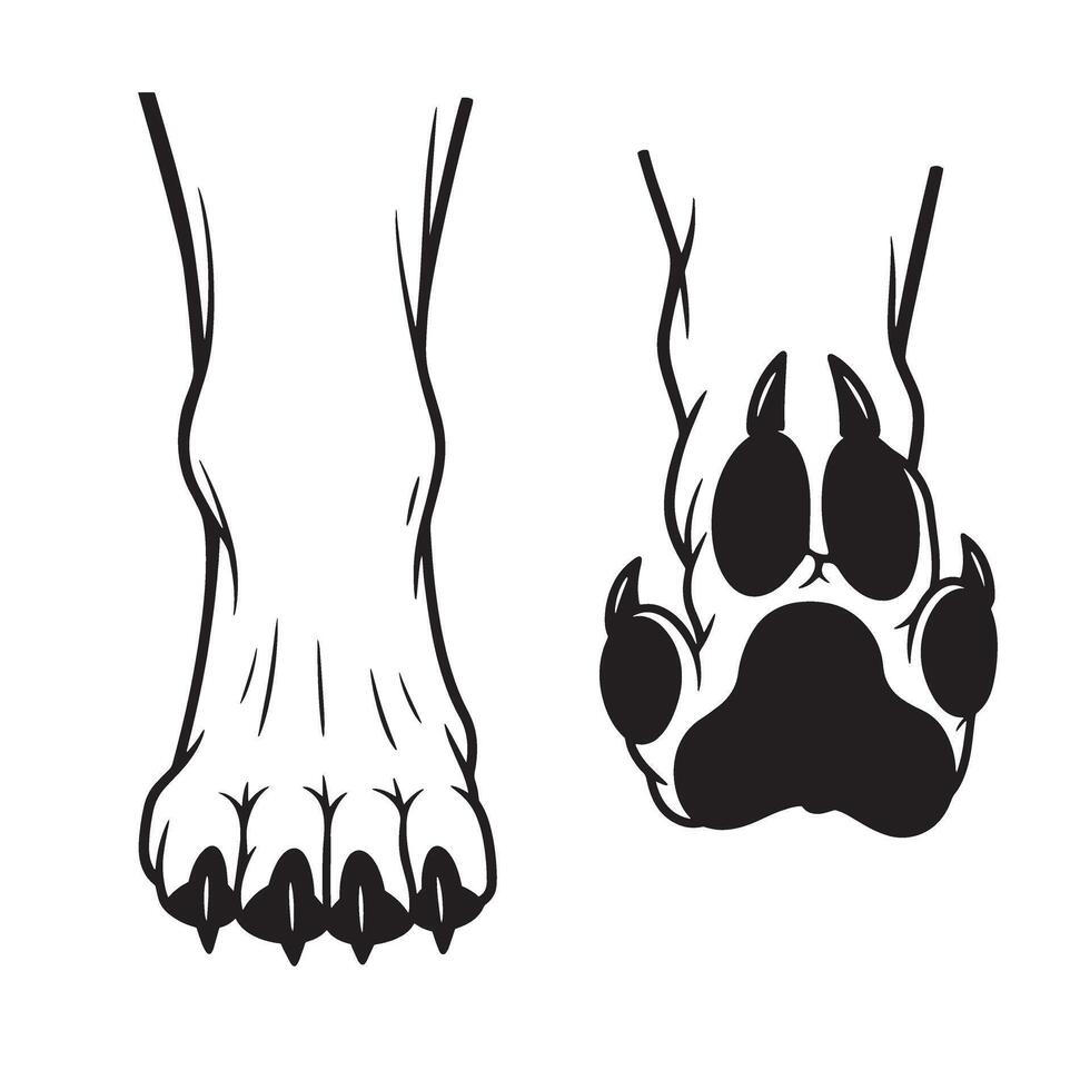 Claw mark and wolf foot silhouette design set for aggressive brand and apparel use vector