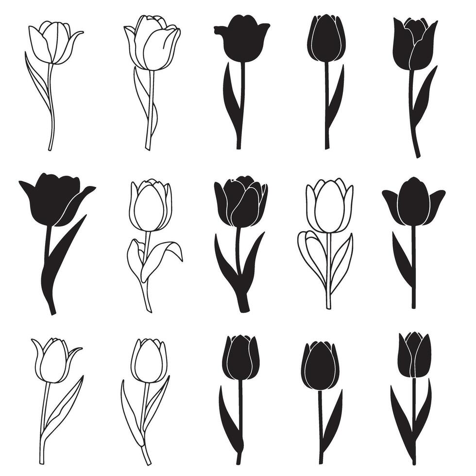 Tulip flower icon set in bold silhouette style for spring floral design and decoration vector