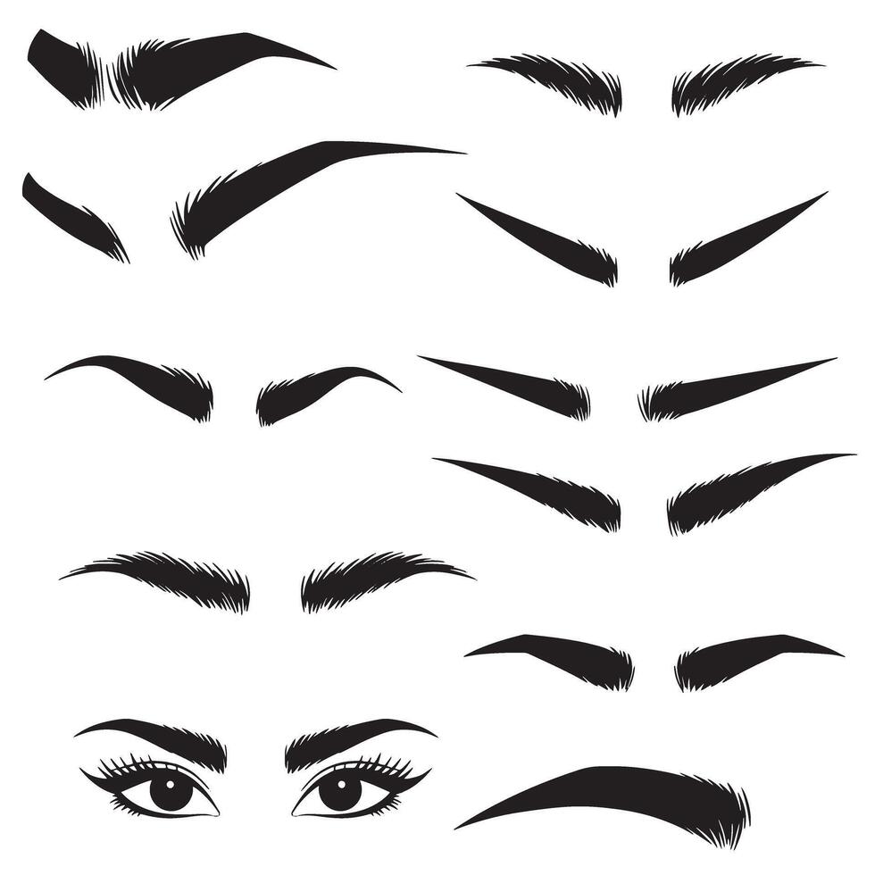 Beauty eyebrow illustration set with eye detail in clean silhouette format vector