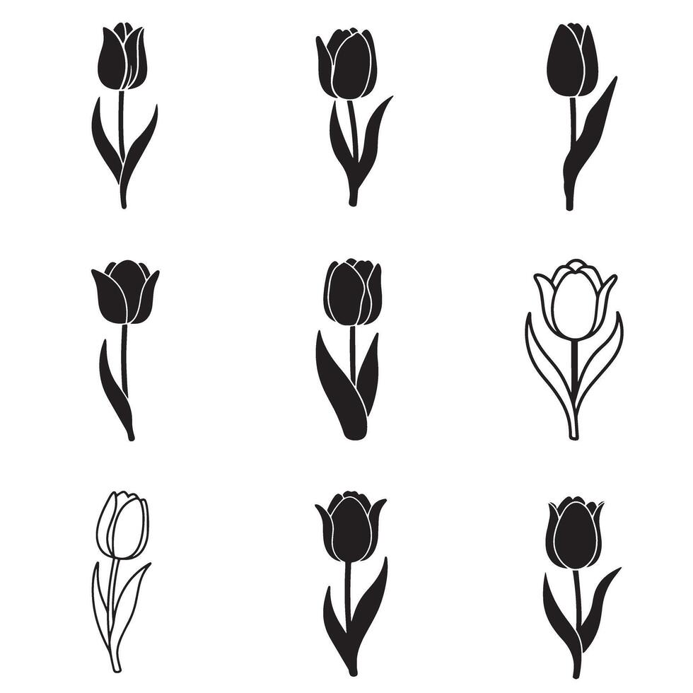 Elegant tulip icon silhouette bundle for beauty floral and event design vector