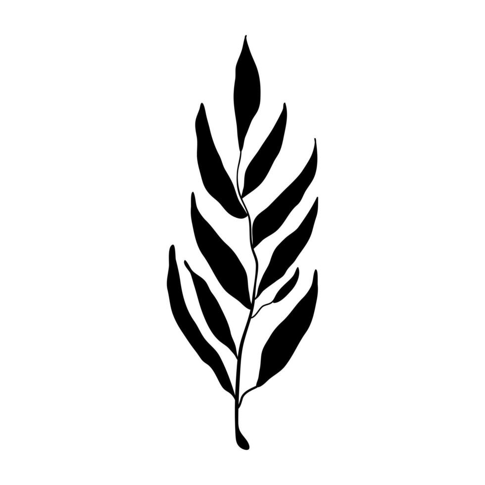 Simple hand drawn black silhouette of eucalyptus branch. Botanical design element. vector
