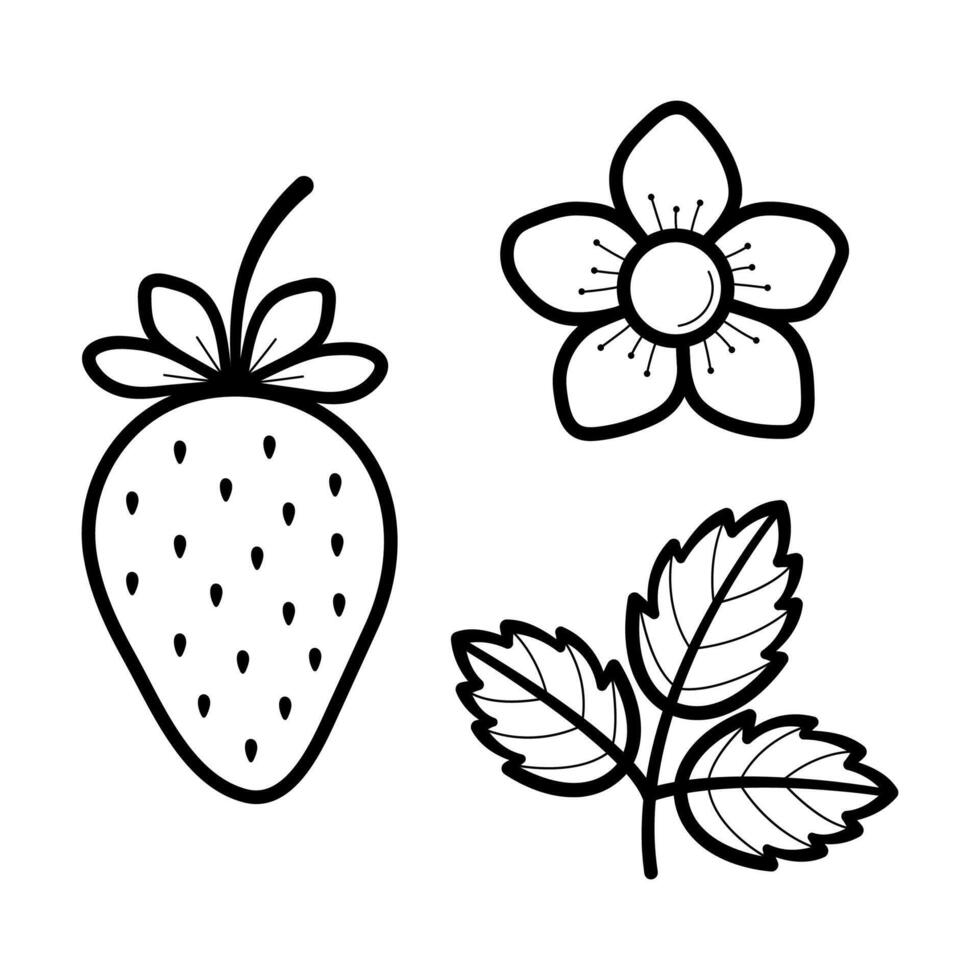 Set of strawberries. Berry, flower and leaf in doodle line style. Hand drawn sketch isolated illustration. vector