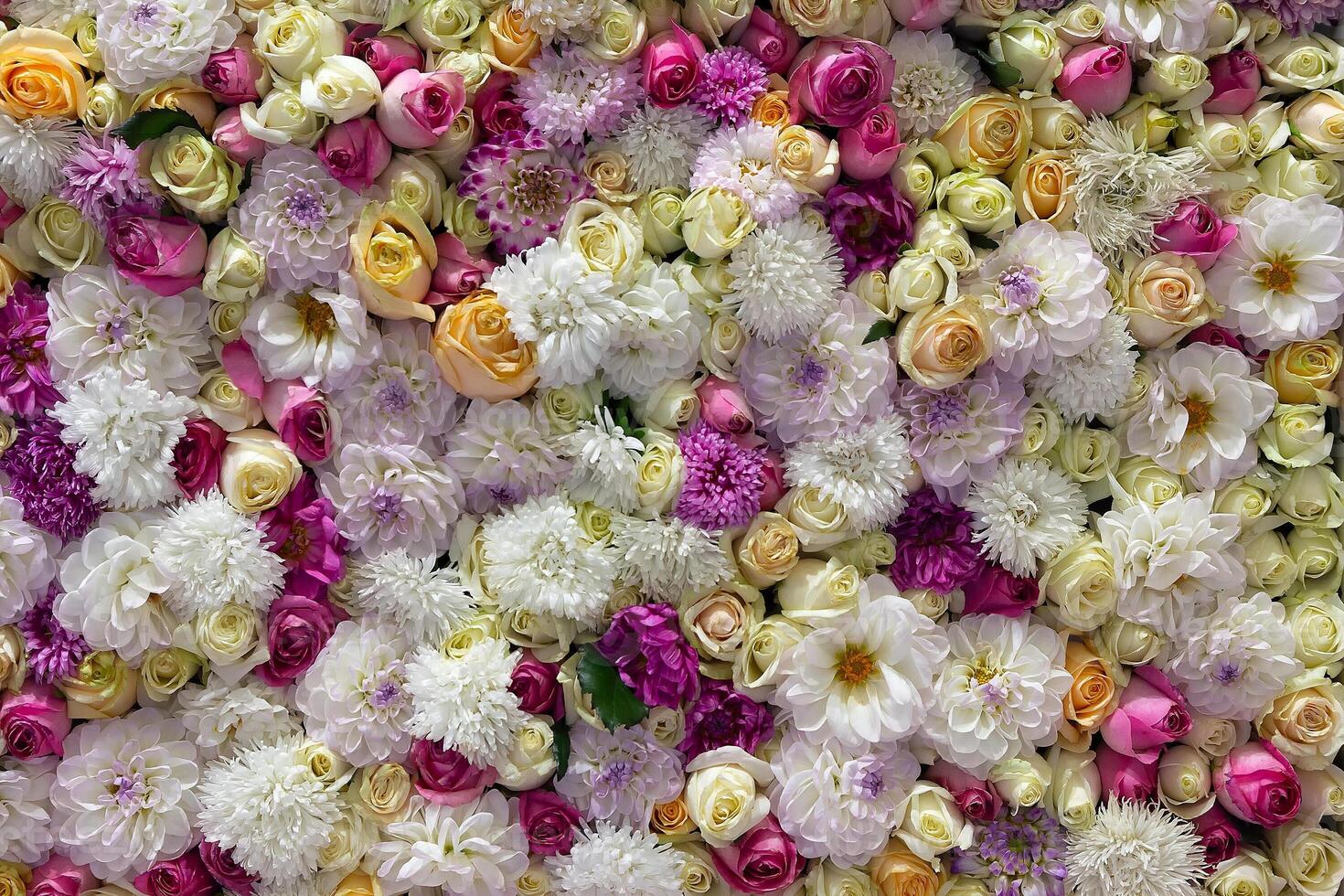 Colorful flower background of fresh roses and peonies. Hoiyday photo