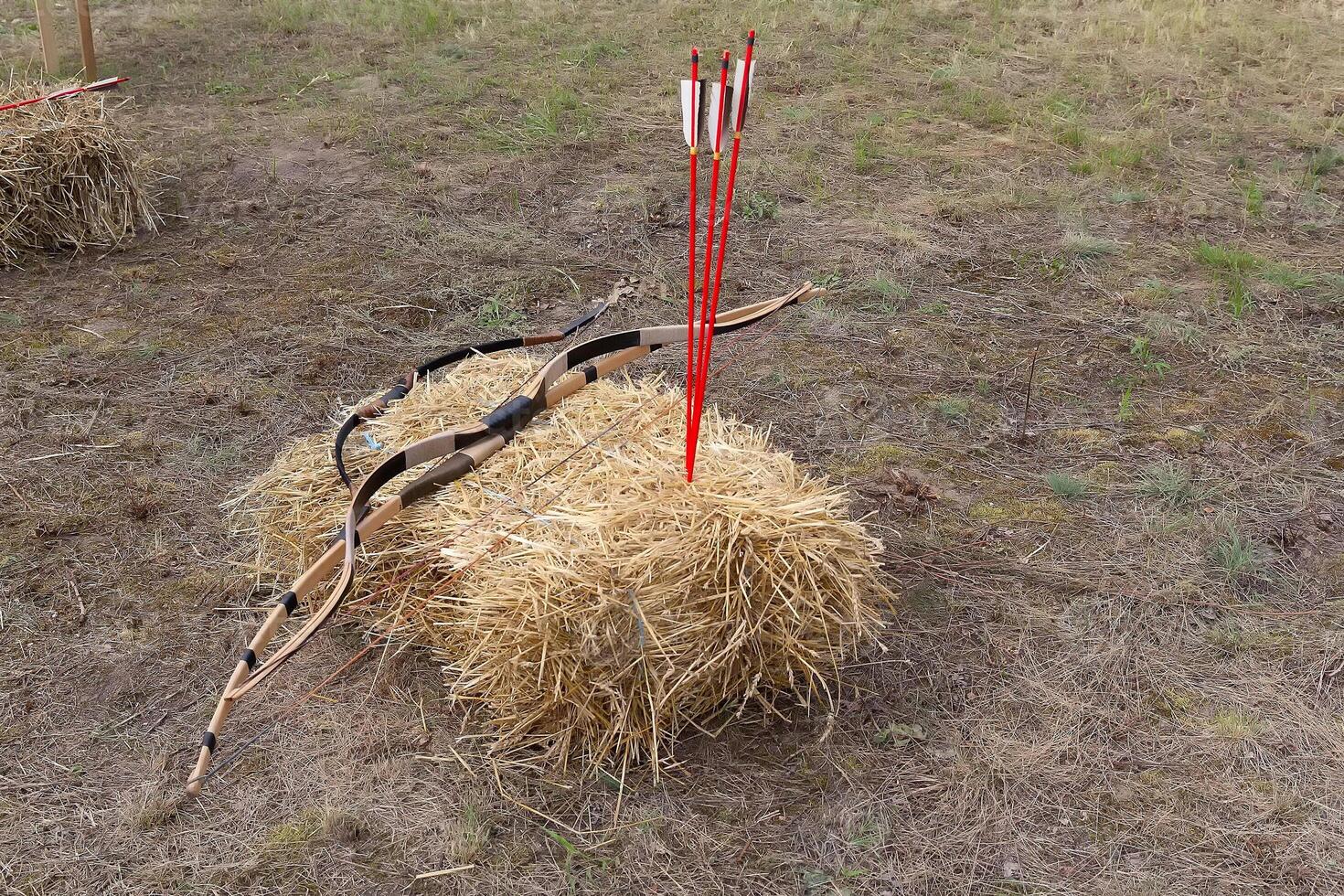 Ancient onion for shooting and arrows photo