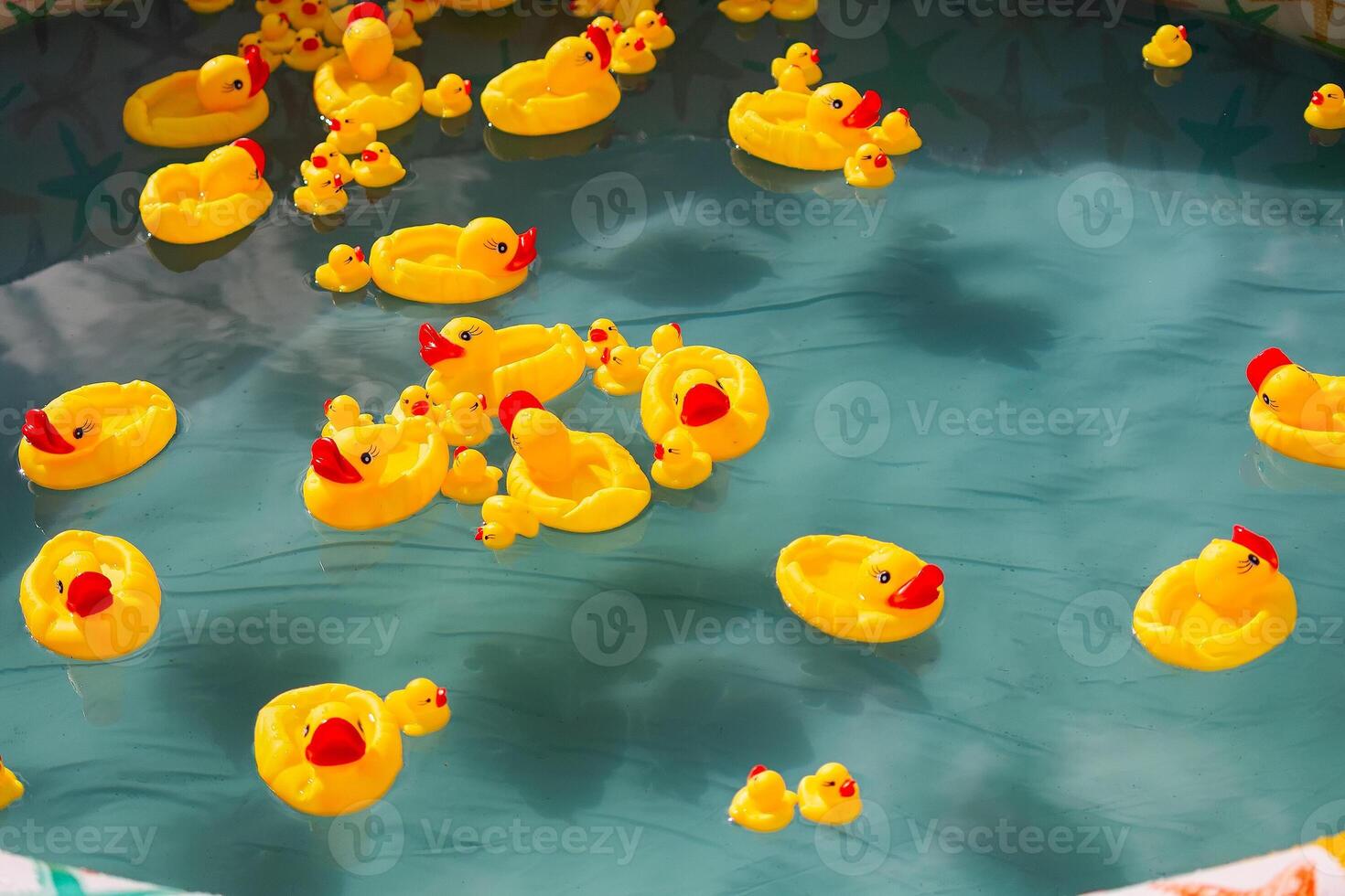 Many rubber yellow toy ducks floating in children's pool photo
