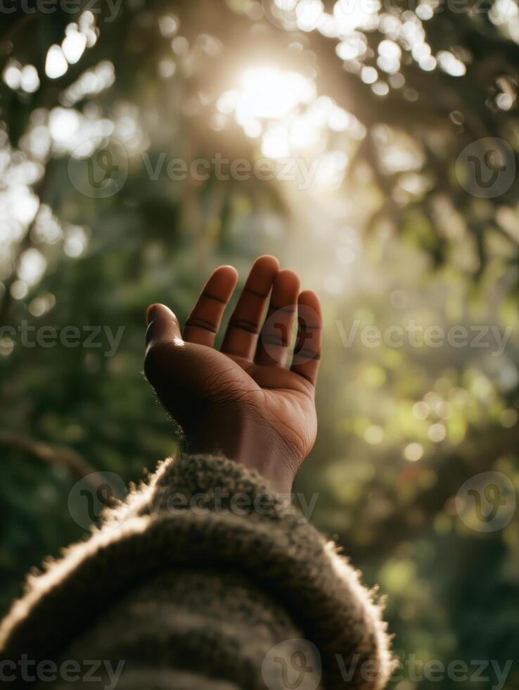 A cinematic close-up of an outstretched hand reaching toward a warm beam of sunlight filtering through tree branches in a forest. photo