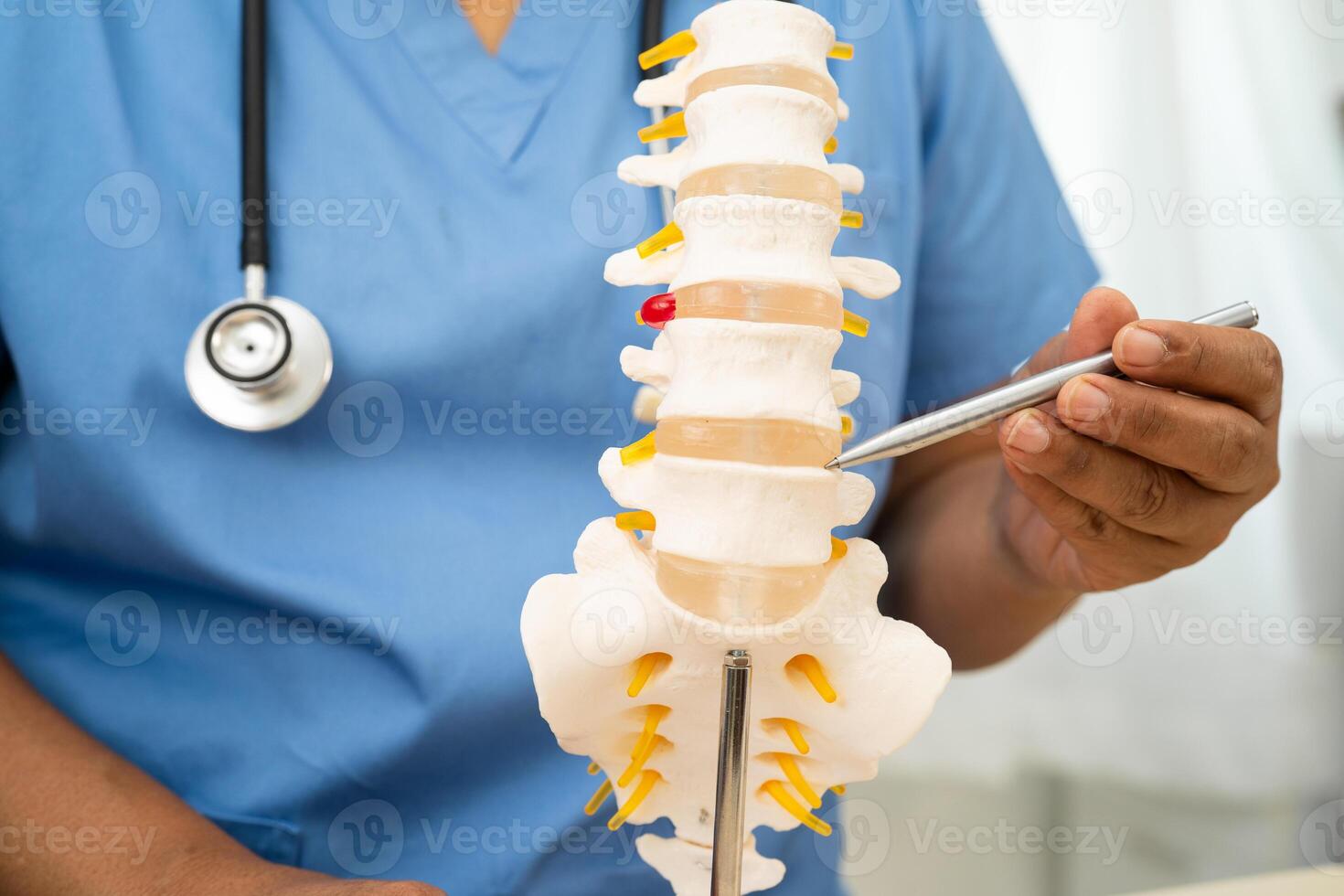 Doctor with lumbar vertebra bone skeleton photo