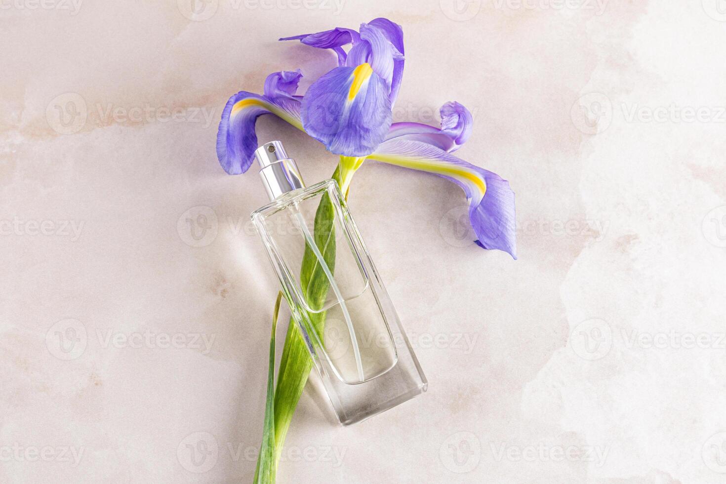 An elegant transparent bottle of perfume or cosmetic spray on light marble background with a chic blue iris flower. top view. Fragrance presentation. photo