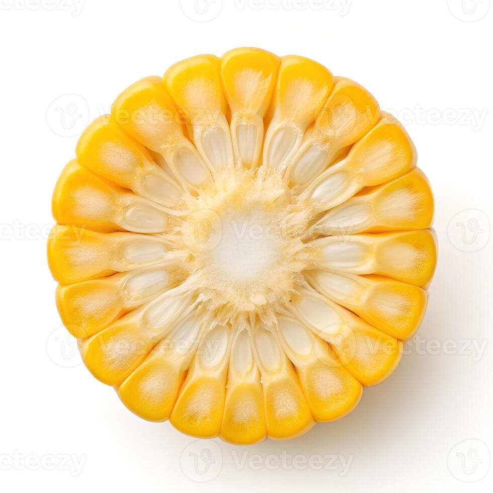 Slice of Sweet Corn Isolated on White photo