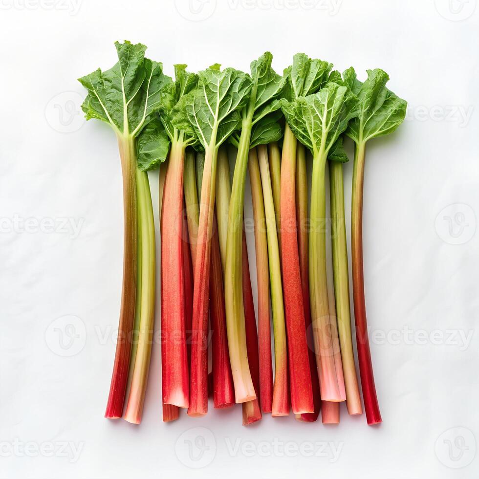 Fresh Red Rhubarb Stalks Isolated Overhead photo