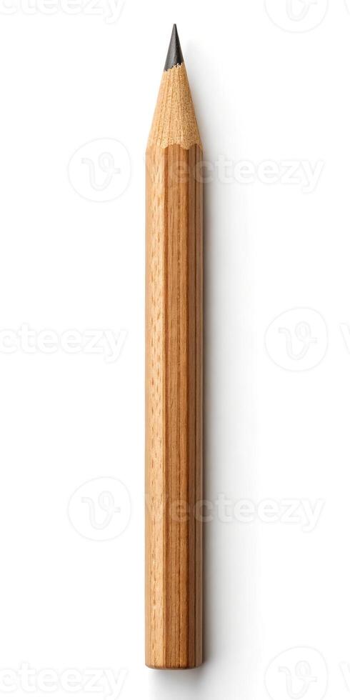 Single Sharp Graphite Pencil photo