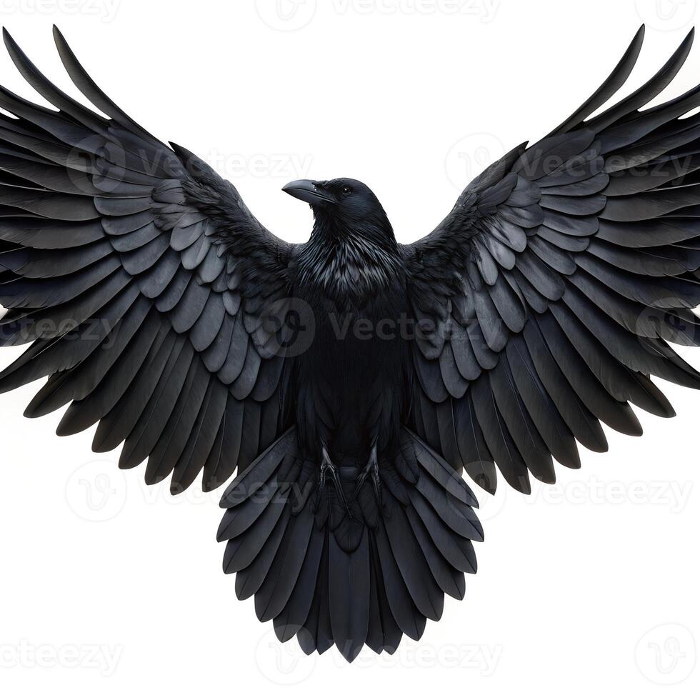 Majestic Black Raven with Wings Spread Wide in Flight photo