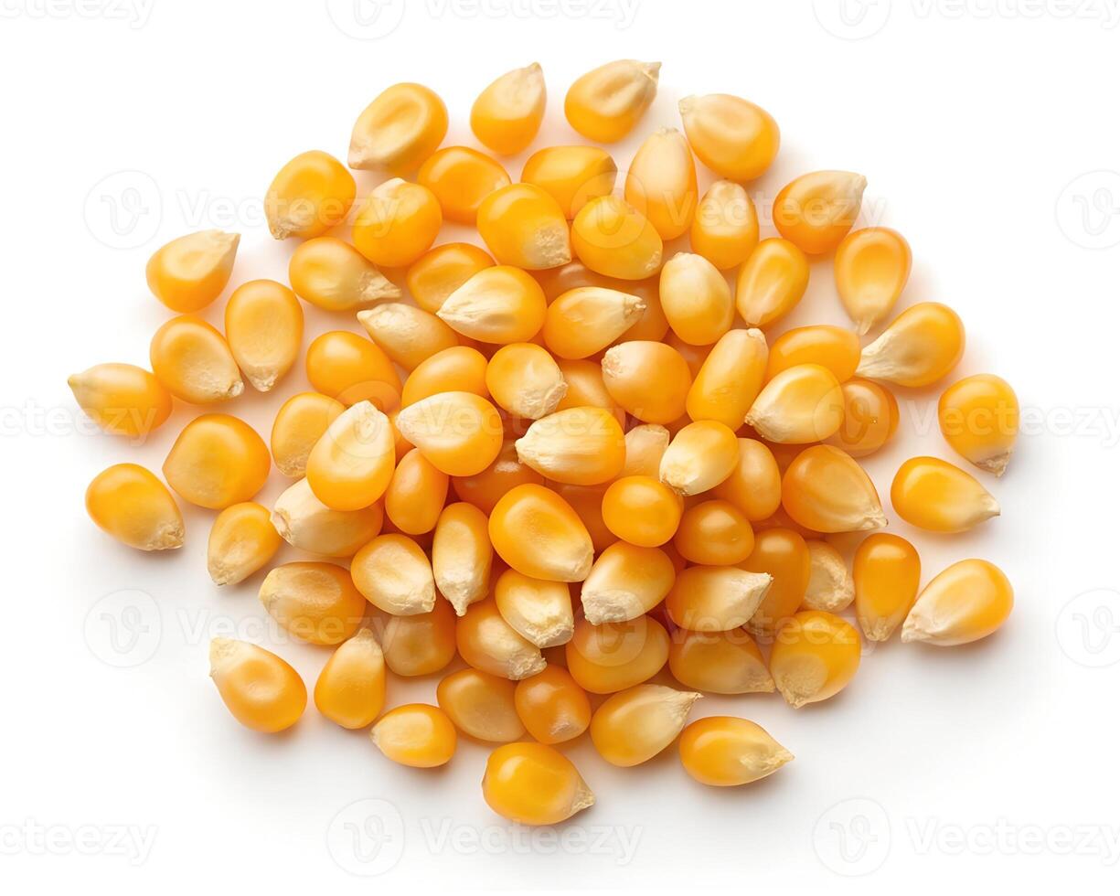 Collection of Delicious Corn Seeds on White photo