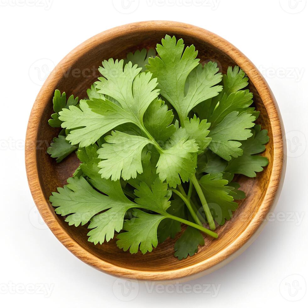 fresh parsley in a bowl photo
