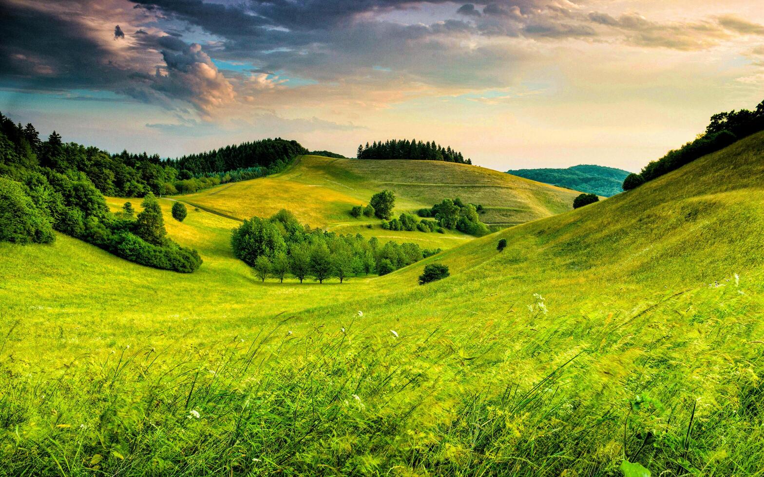 Beautiful Sun Rays on a Green Field Nature Background photo