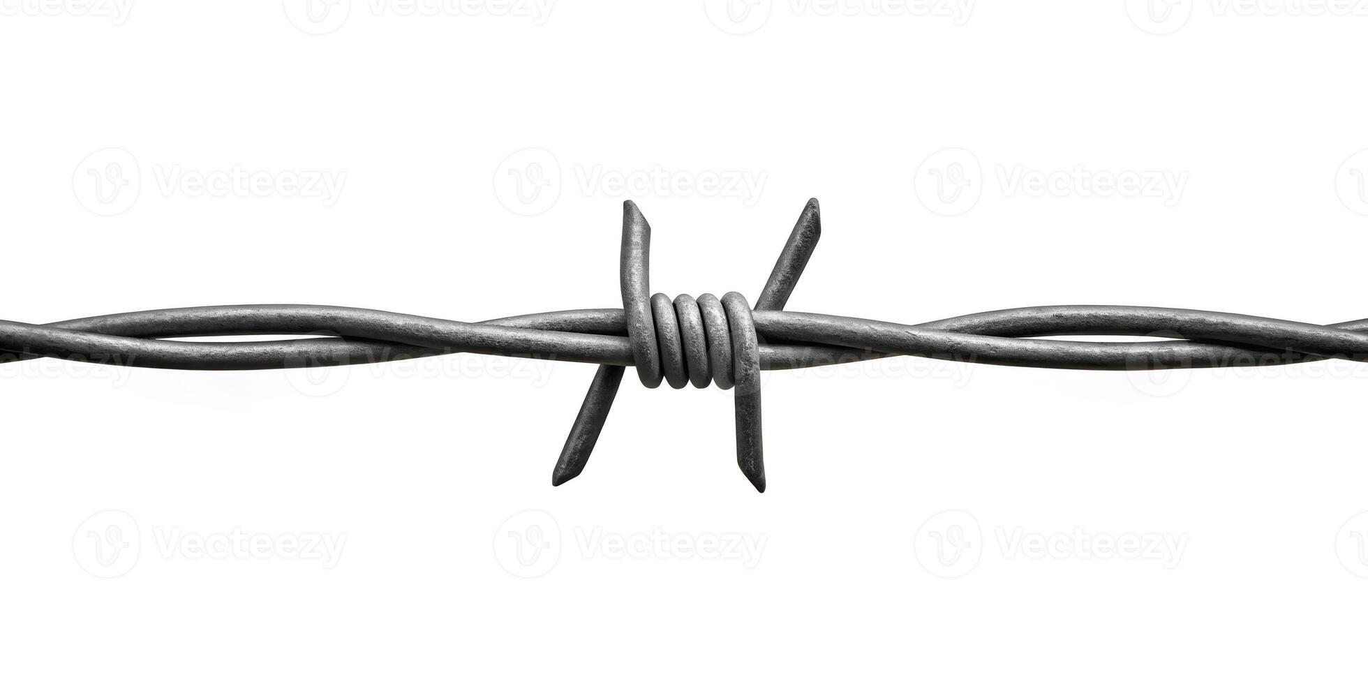 3D Barbed Wire photo