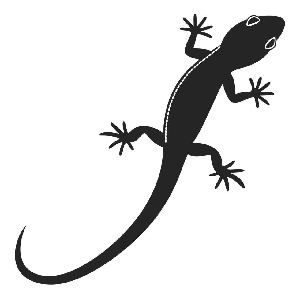 Isolated gecko silhouette illustration crawling reptile with exotic tail and legs vector