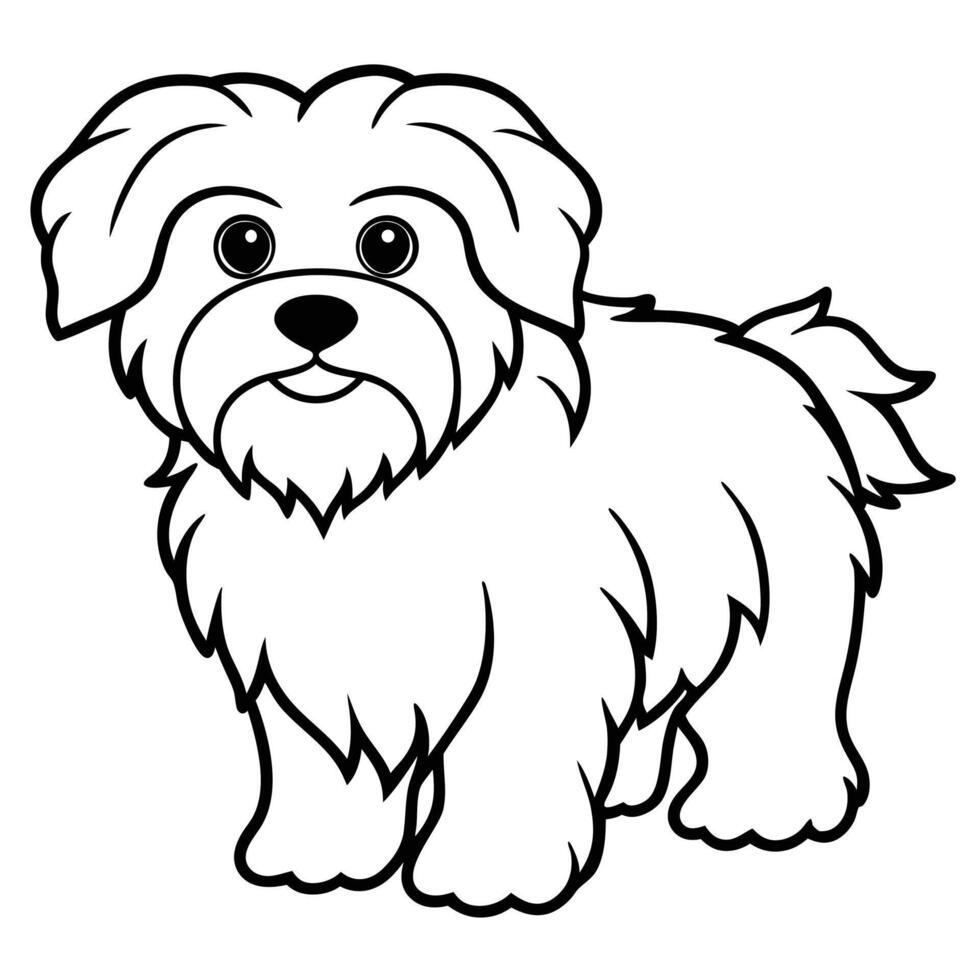 Cute bichon frise cartoon line art fluffy dog breed illustration vector