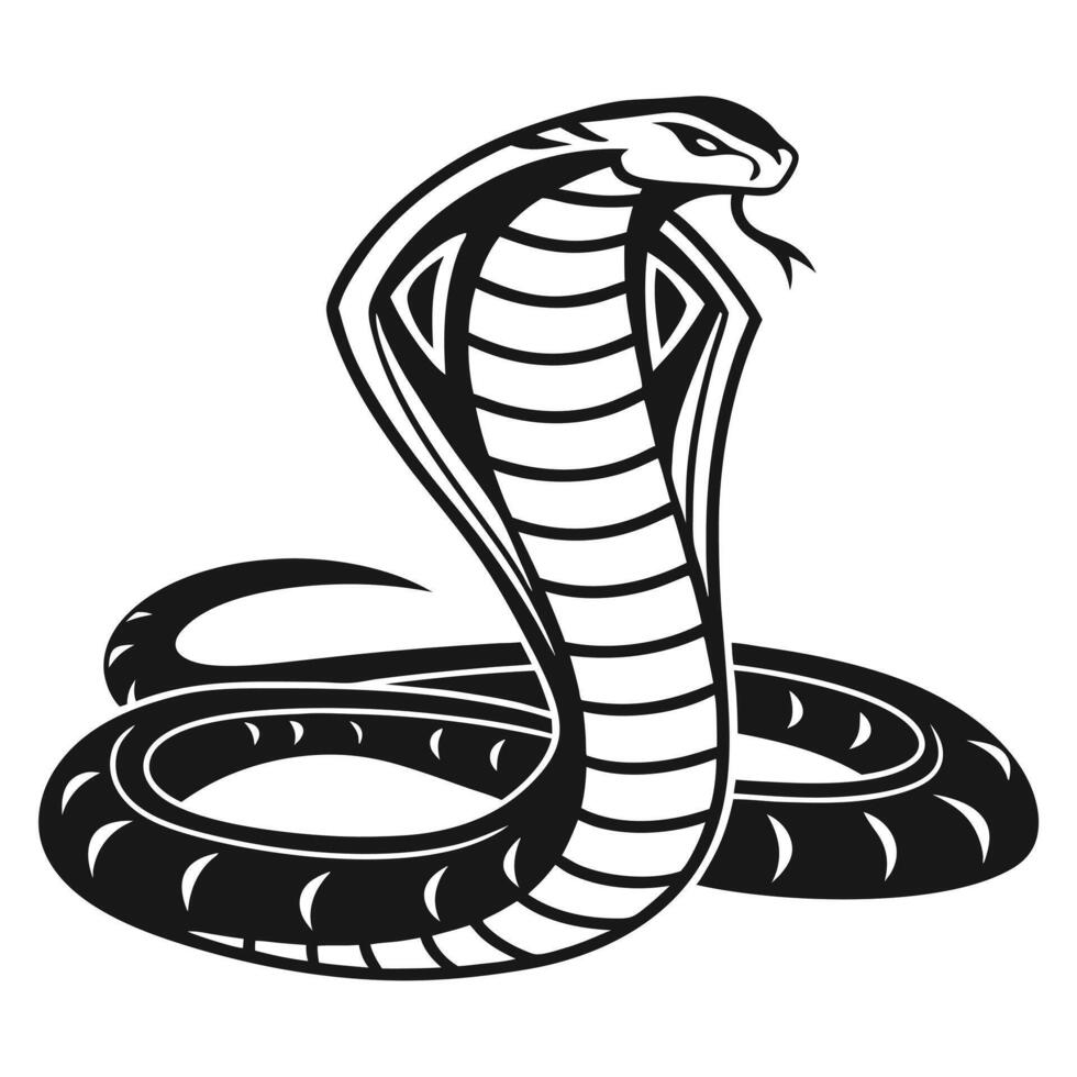 Striking black and white cobra illustration with hood displayed intricately vector