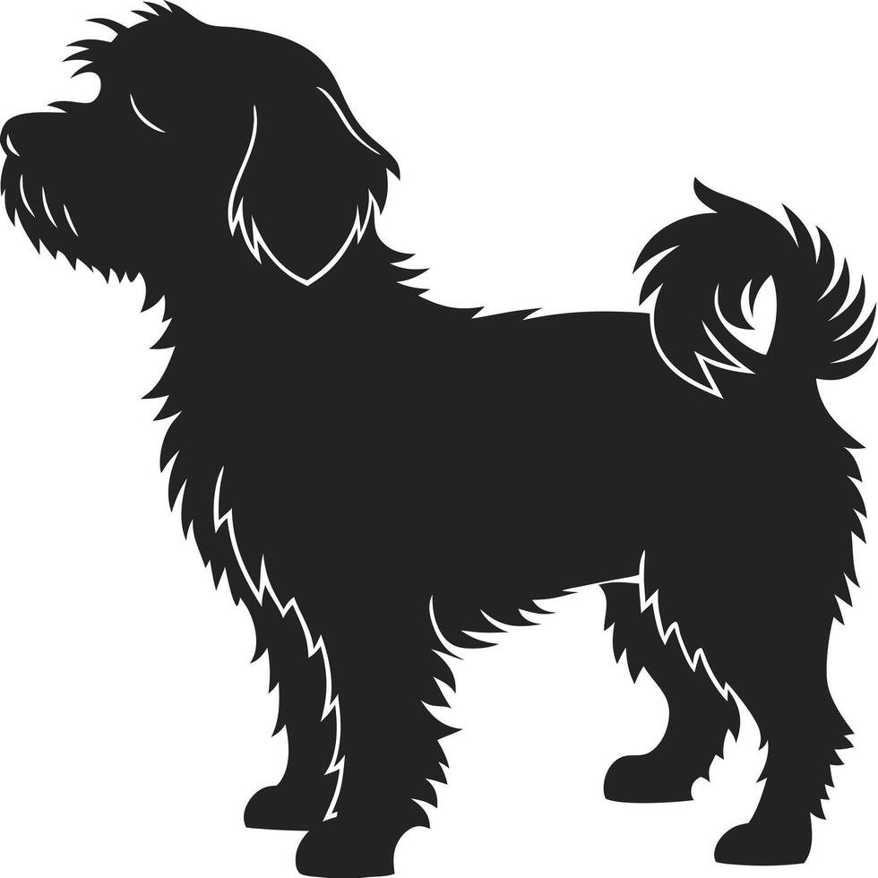 Black silhouette of a cute puppy poodle breed dog standing on white background vector