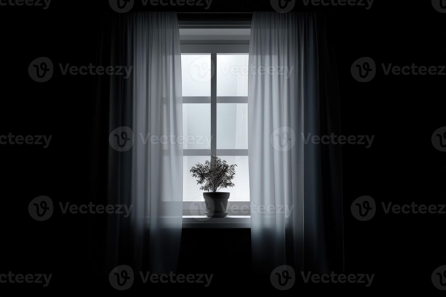 Plant on a windowsill behind sheer curtains creates a serene indoor atmosphere in soft light photo