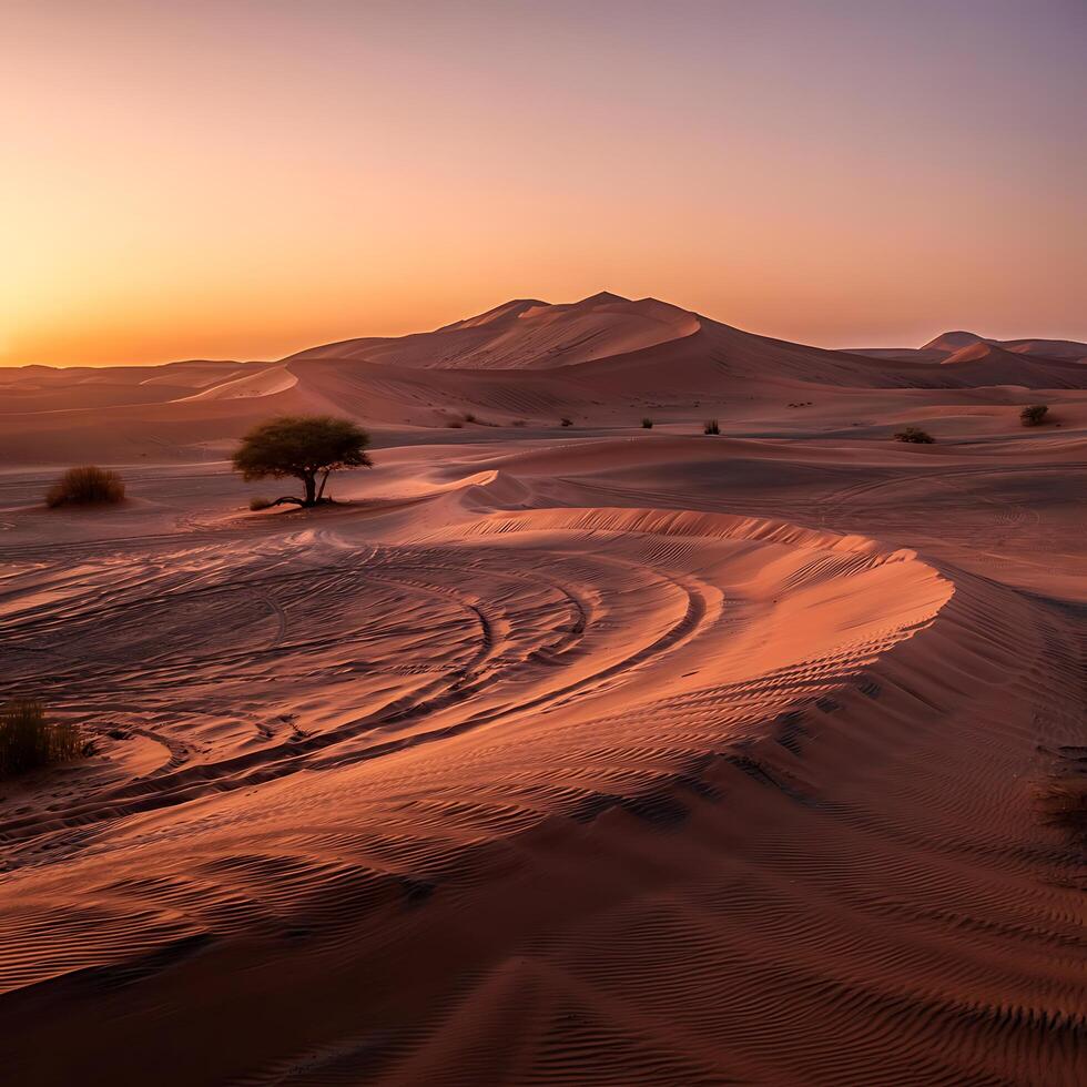 The sahara desert in the middle east photo