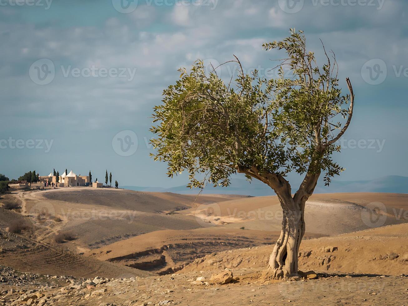 A lone tree in the middle of a desert photo