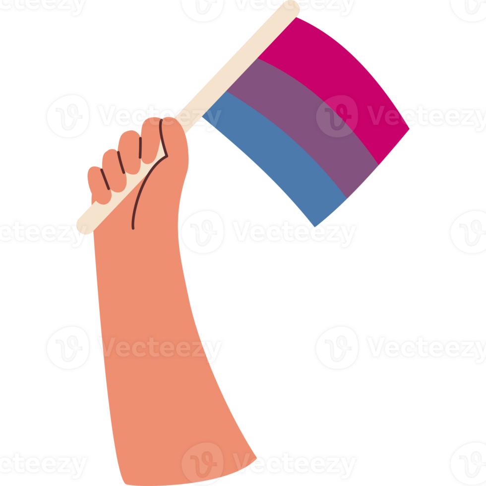 Bisexual Flag with Hand png