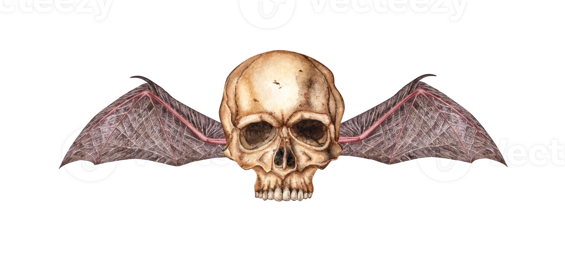 Human skull realistic front with bat wings watercolor illustration. Bones in gothic style. Day of the dead, Halloween, Dia de los muertos. Isolated from background. Symbolism of life and death. png