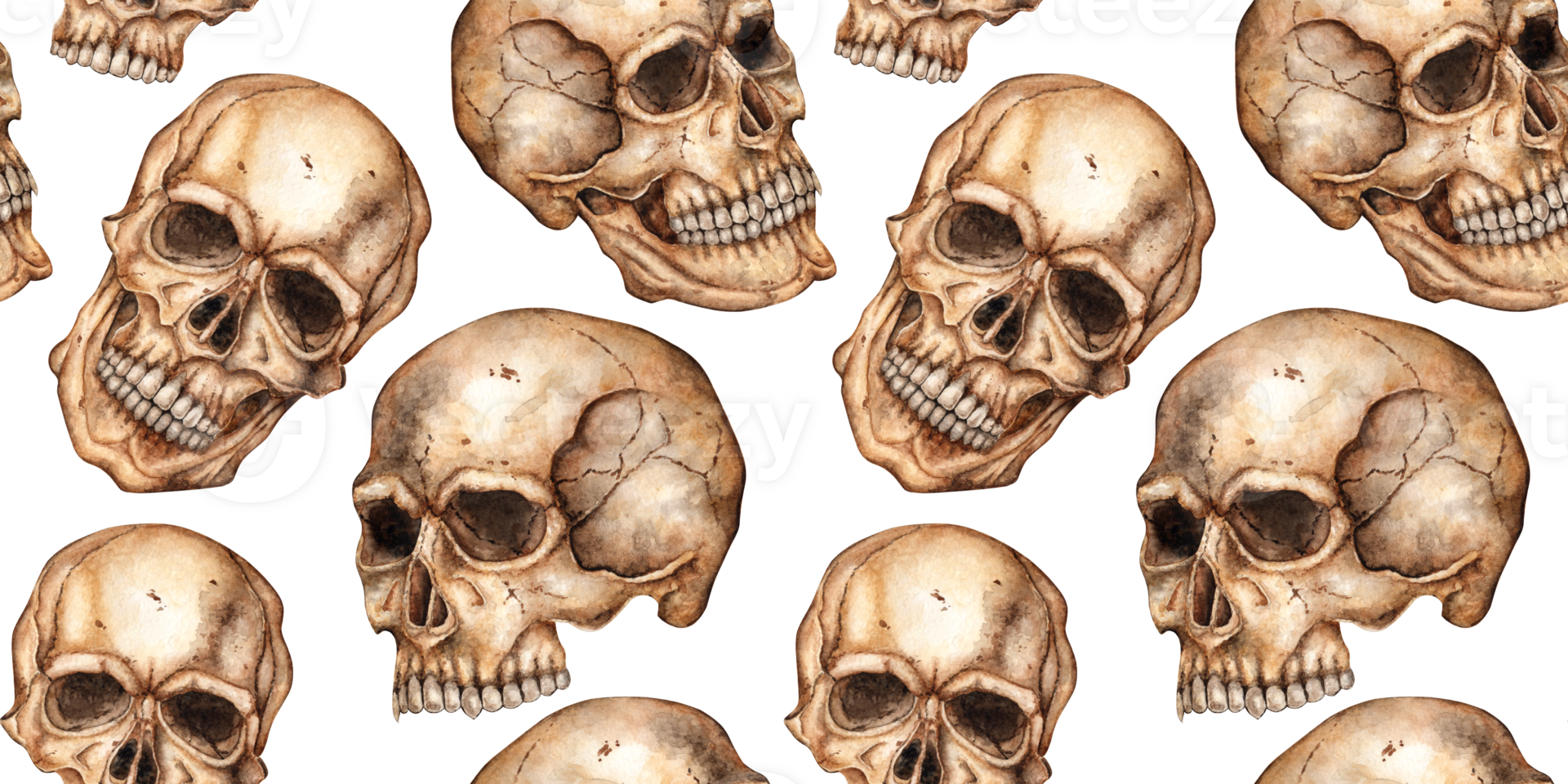 Human skull realistic frontal watercolor illustration. Bones creepy, horrible. Day of the dead, Halloween, Dia de los muertos. Isolated from background. Symbolism of life and death. Pattern png