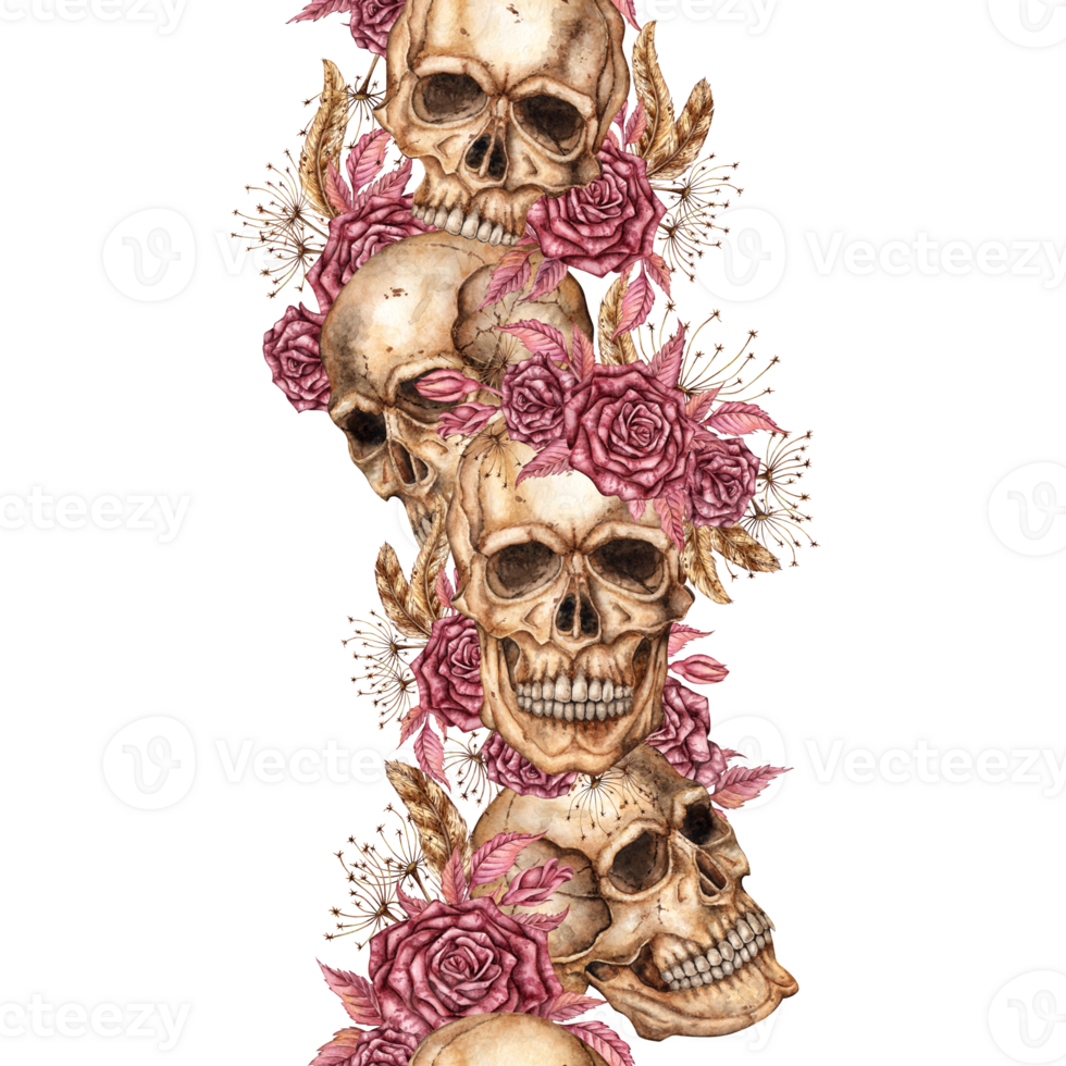Human skull with dark red roses, dried flowers and feathers watercolor illustration. Bones in gothic style. Day of the Dead, Halloween, Dia de los muertos. Isolated. Pattern vertical, border, ribbon. png