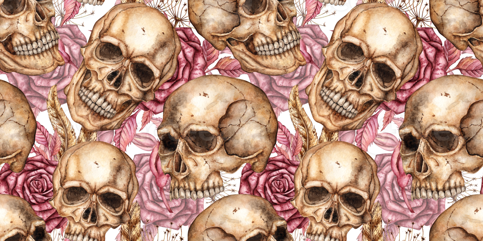 Human skull realistic with dark red roses and buds watercolor illustration. Bones in gothic style. Day of the dead, Halloween, Dia de los muertos. Isolated. Symbolism of life and death. Pattern png