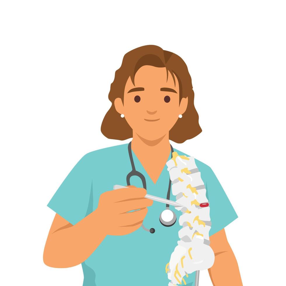 Spinal model to illustrate the structure and function of the spine and spinal nerves. vector