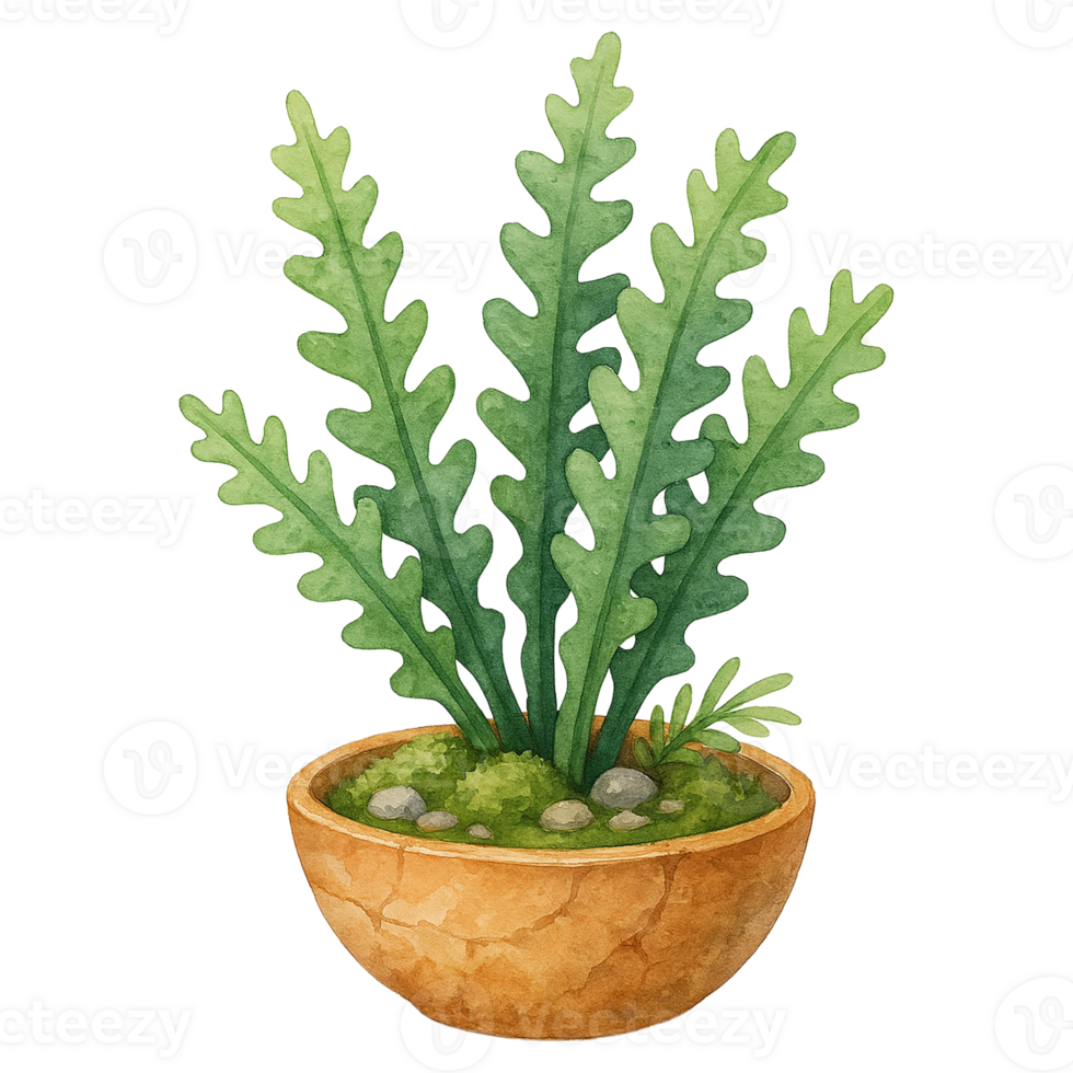 A vibrant potted plant showcasing lush, green leaves elegantly. png