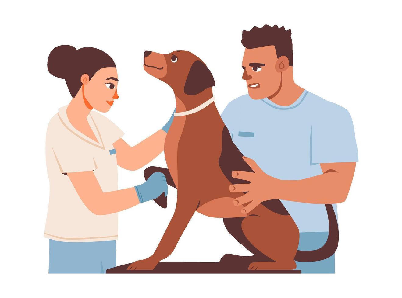 Veterinarian with a cute dog at a medical checkup. Dog and vet during a routine health examination. Pet care, veterinary clinic, and animal health themes. Flat illustration. vector