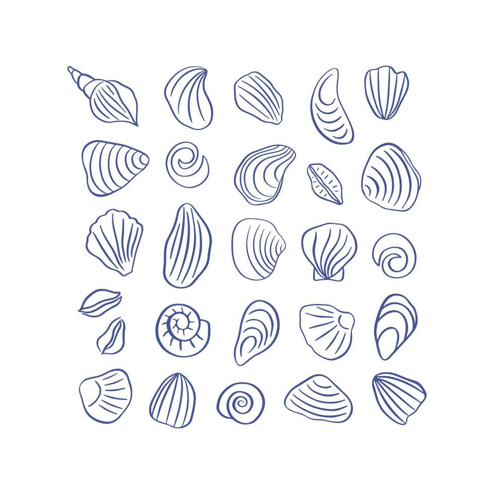 Hand drawn sea shells cliparts vector