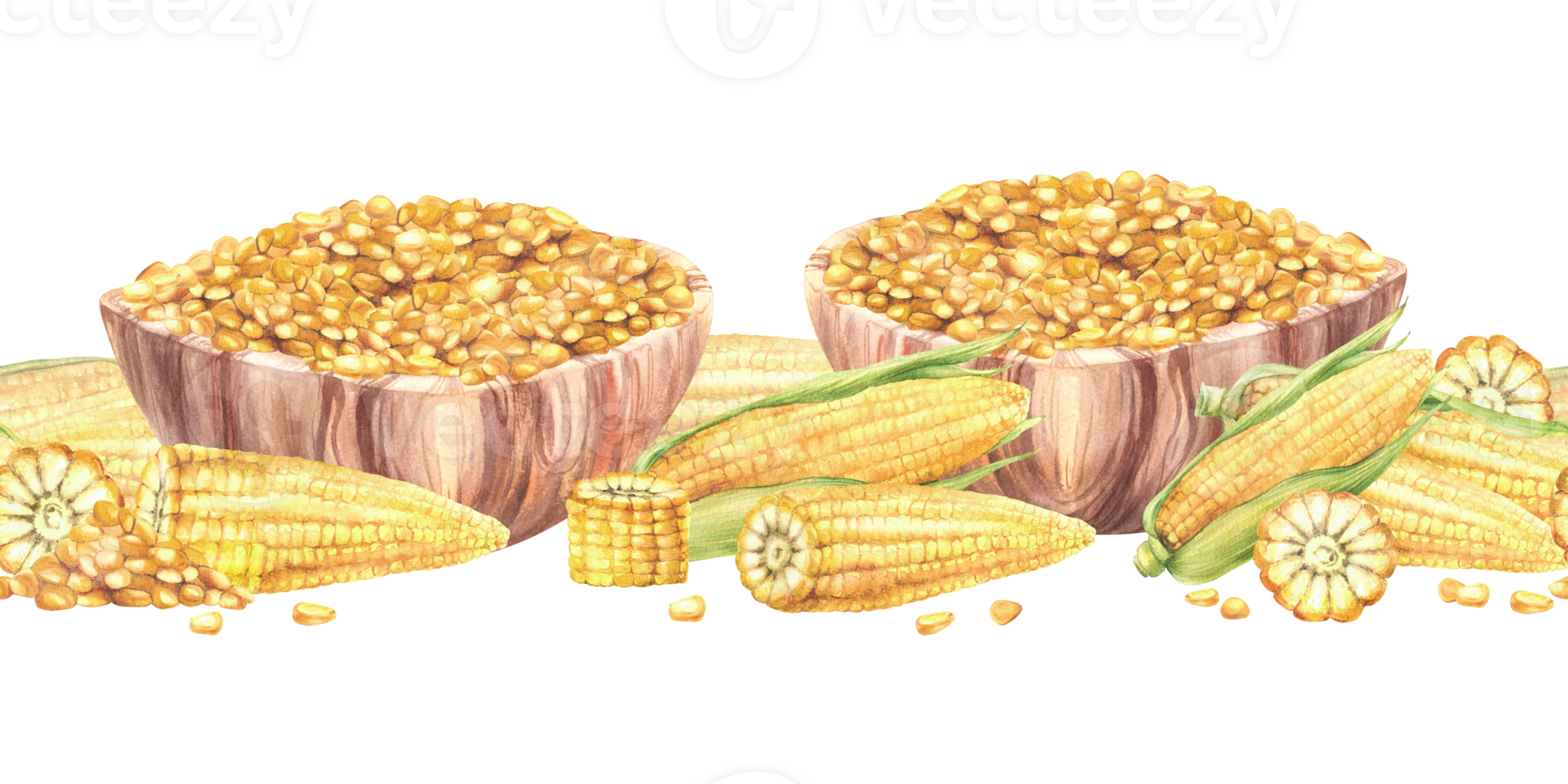 Cobs and kernels of corn, golden maize in wooden bowl seamless border. Dishes with Yellow pieces of corncobs, whole and cut cobs. Watercolor painted food pattern illustration Isolated from background png