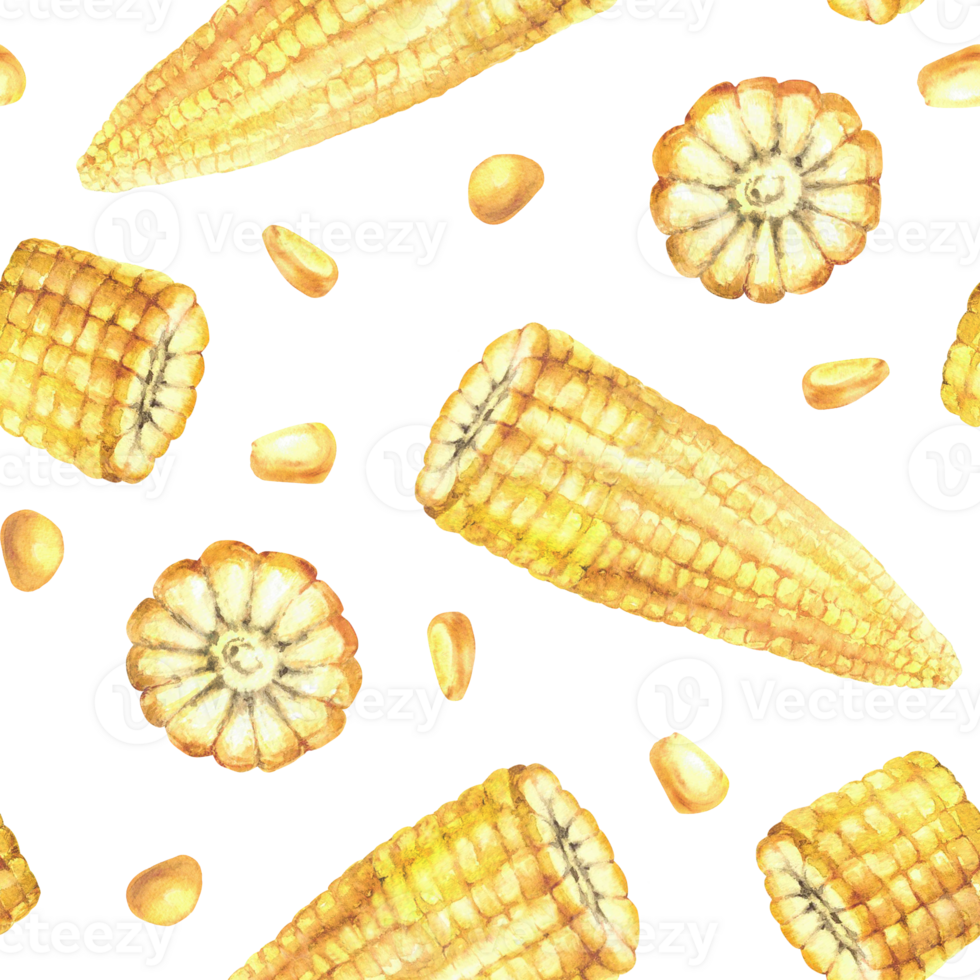 Corn seamless pattern Yellow kernels, cut corncobs or sweet golden maize plant cobs pieces and seeds. Watercolor hand drawn illustration for canned food label, fabric. Isolated from background clipart png