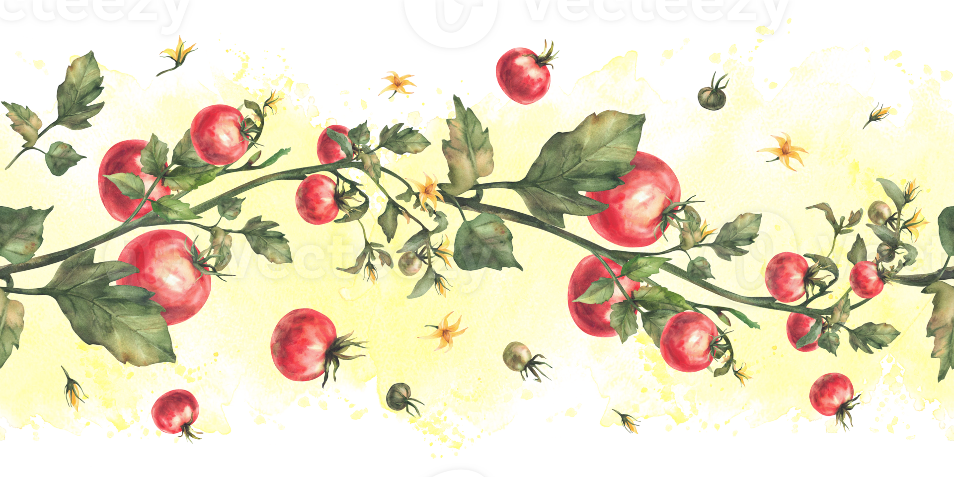 Tomato plant seamless border with red fruit, green leaves and flowers on watercolor spotted splashes yellow background. Vegetables harvest realistic pattern, wallpaper Hand drawn illustration isolated png