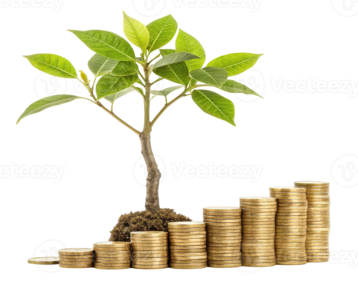 Small tree growing from soil on top of a staircase made of gold coins on a transparent background png