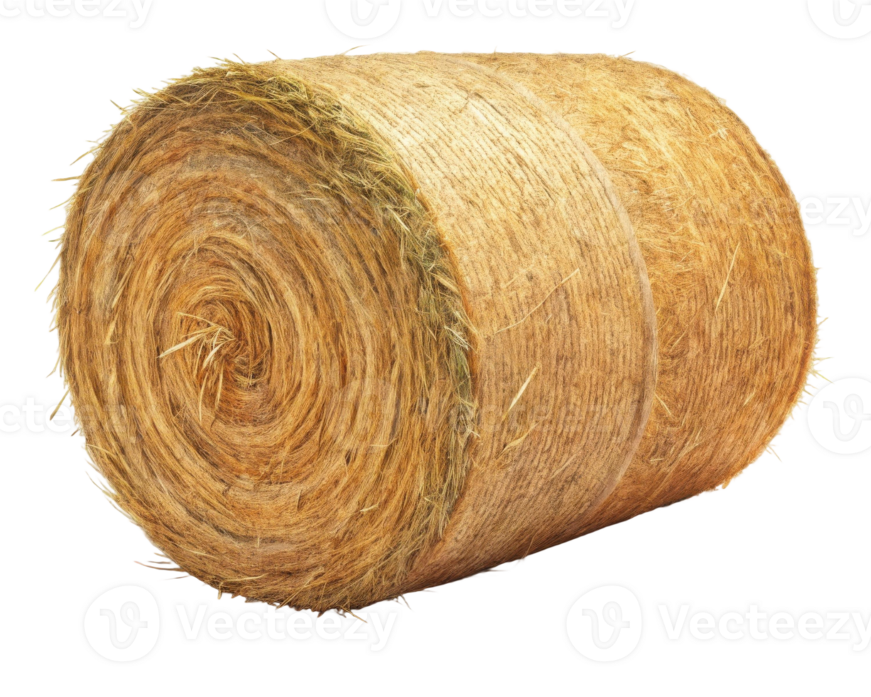 Round hay bale on a transparent background showcasing agriculture and rural farm life scenery png