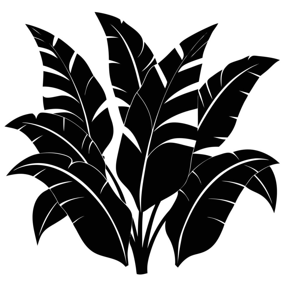 Banana leaf plant silhouette vector