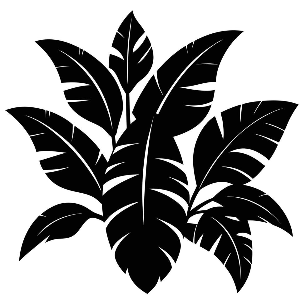 Banana leaf silhouette vector
