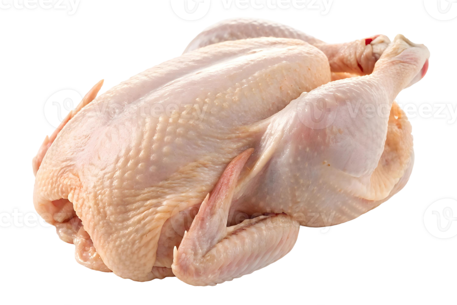 Raw whole chicken ready for cooking isolated on a transparent background in a studio shot png