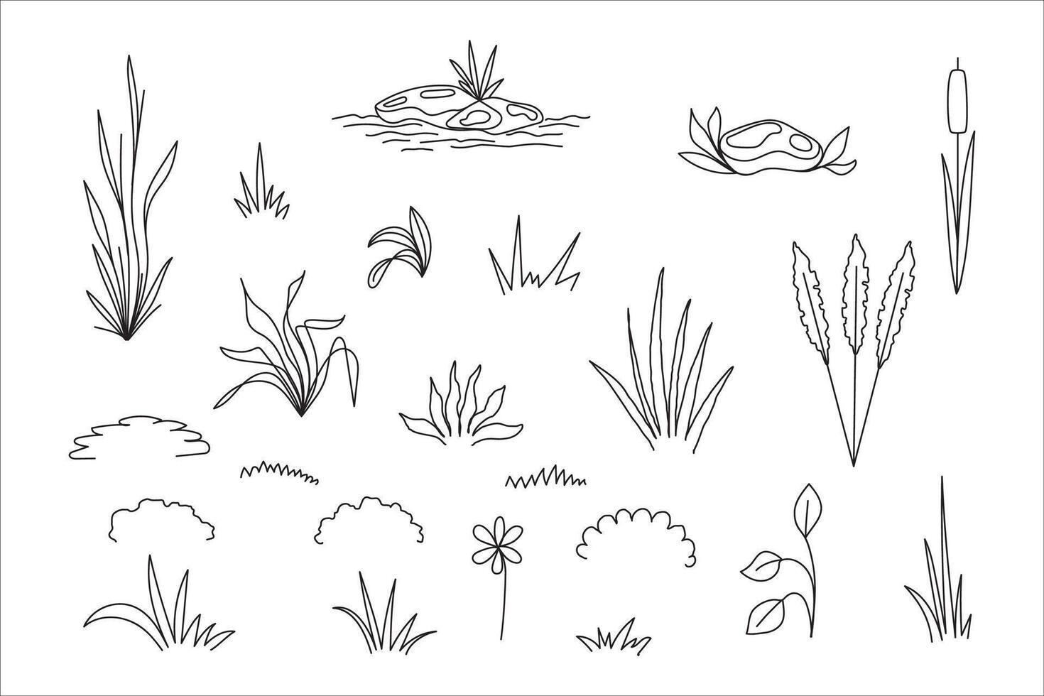 Set of different grass plants. Floral sketch. Line art elements. Botanical illustration. vector
