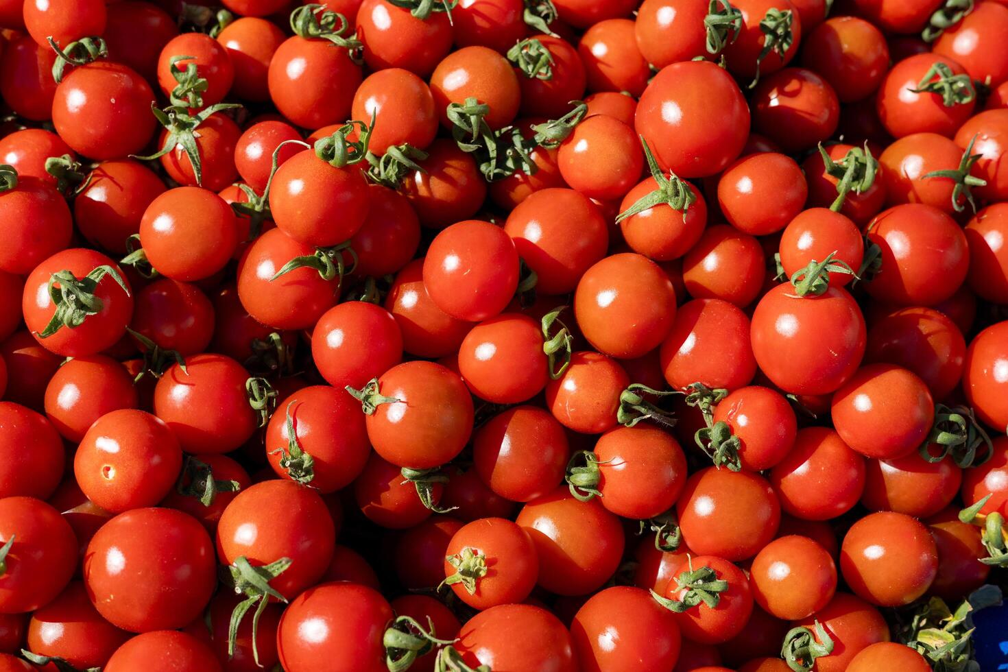Fresh cherry tomatoes piled at a local market during sunny midday hours photo